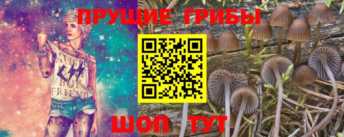 Галлюциногенные грибы Psilocybe  Псилоцибиновые грибы MAGIC MUSHROOMS  Вход с VPN  Лесосибирск 
